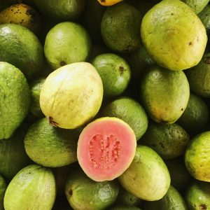 guava (4)
