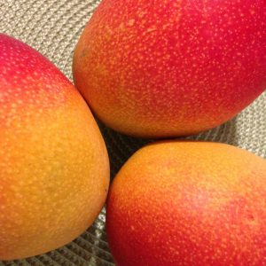 mango (3)